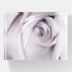 Purple rose paperweight