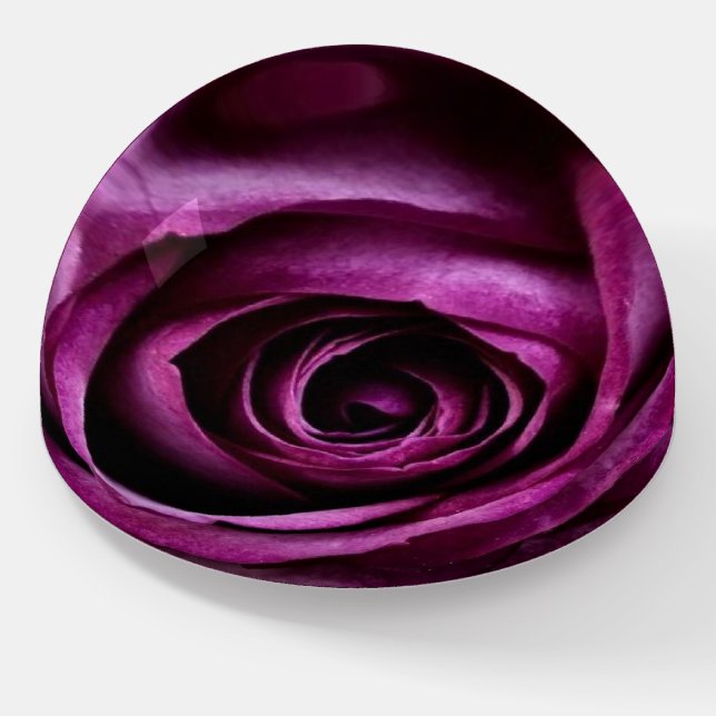 purple rose paperweight (Angled)