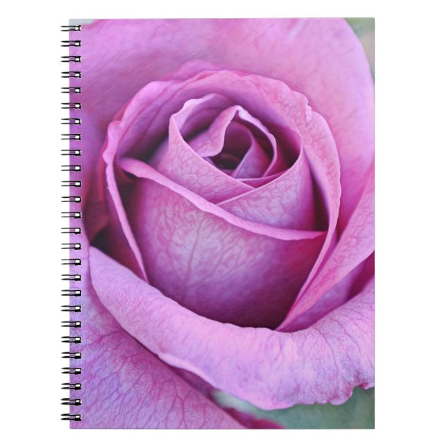 Purple Rose Petals from Gertie's Garden Notebook (Front)