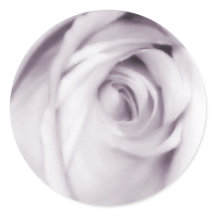 purple rose sticker