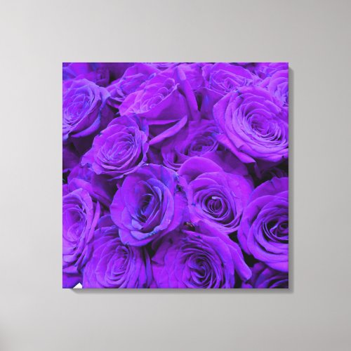 Purple Rose vibrant purple blue flowers Canvas Print