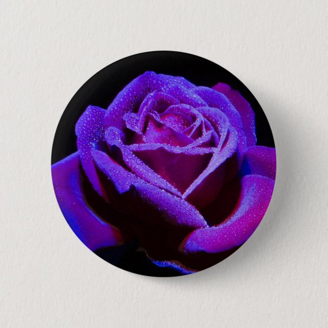 Purple Rose With Water Drops on Black Background Button (Front)