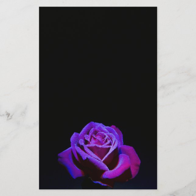 Purple Rose With Water Drops on Black Background Stationery (Front)