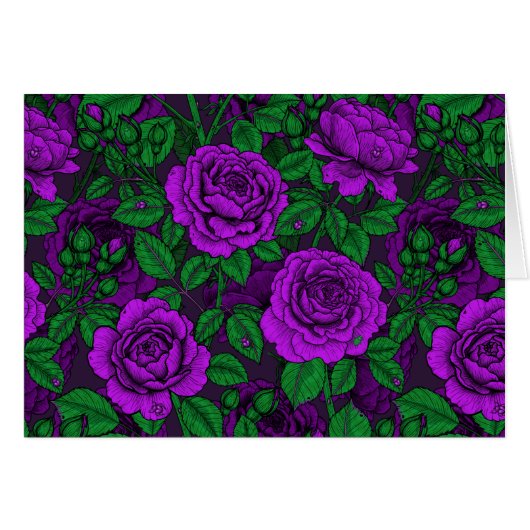 Purple roses (Front Horizontal)