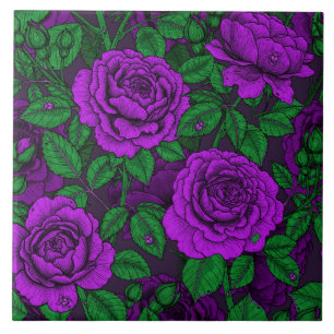 Purple roses ceramic tile