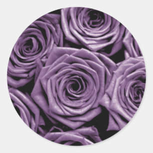 Purple Roses Classic Round Sticker