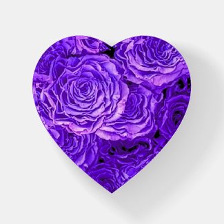 Purple Roses