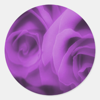 Purple Roses Stickers