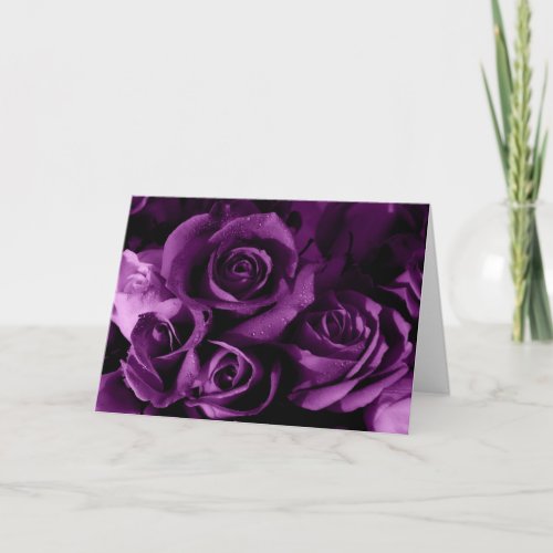 Purple Roses_Valentines Day Holiday Card
