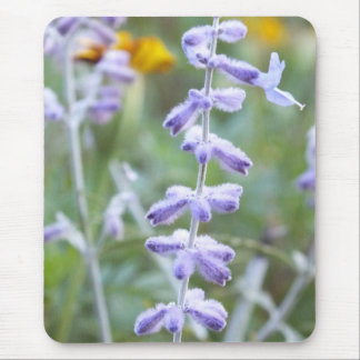 Purple Russian Sage -Pervoskia Mouse Pad