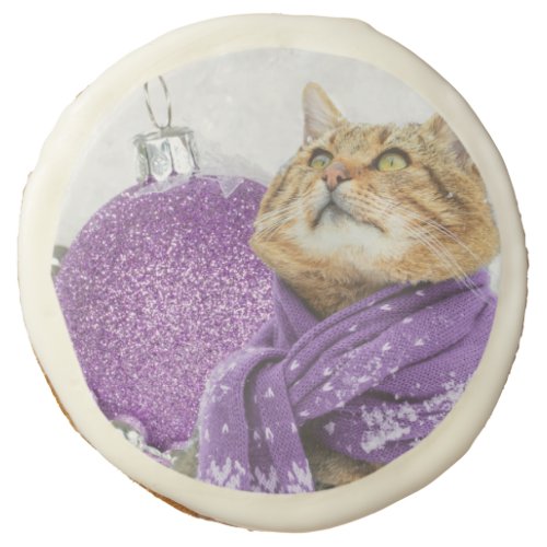 Purple Scarf Winter Cat 1 Dozen Sugar Cookies