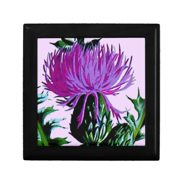 Purple Scottish Garden Thistle Gift Box (Front)