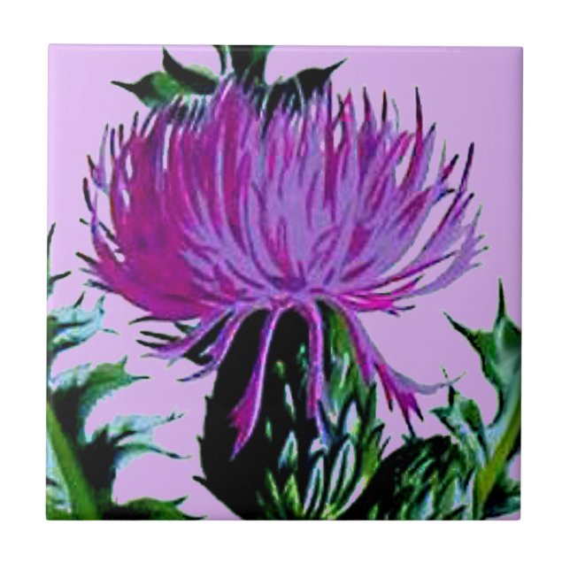 Purple Scottish Garden Thistle Tile (Front)