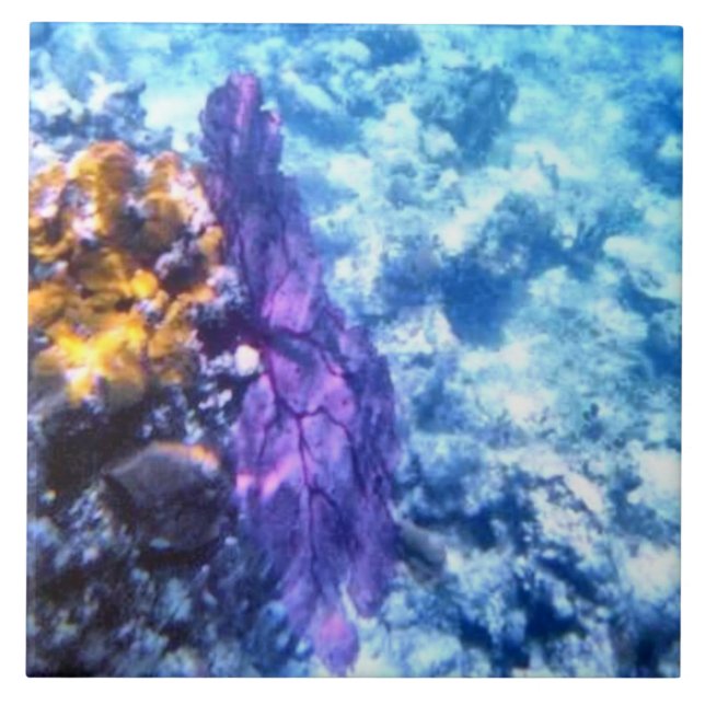 Purple Sea Fan  Tile (Front)