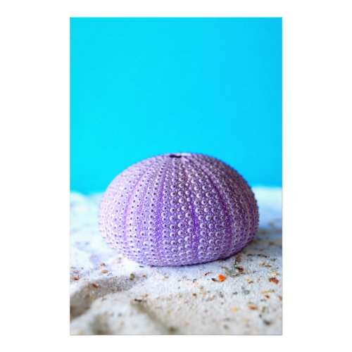 Purple Sea Urchin Photo Print
