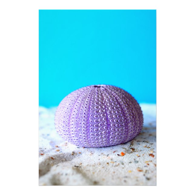 Purple Sea Urchin Photo Print (Front)