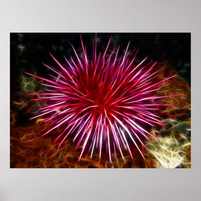 Purple Sea Urchin Poster (Front)