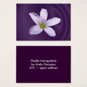 Purple Shamrock ~ ATC (Front & Back)
