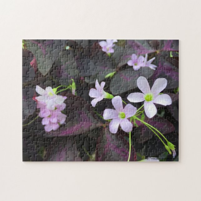 Purple Shamrock Blooms Photograph Jigsaw Puzzle (Horizontal)