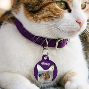 Purple Silhouette Custom Photo Name Address Cat Pet ID Tag