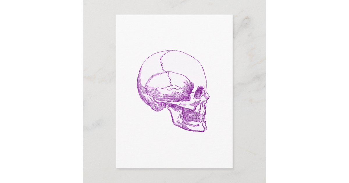 purple skull postcard | Zazzle