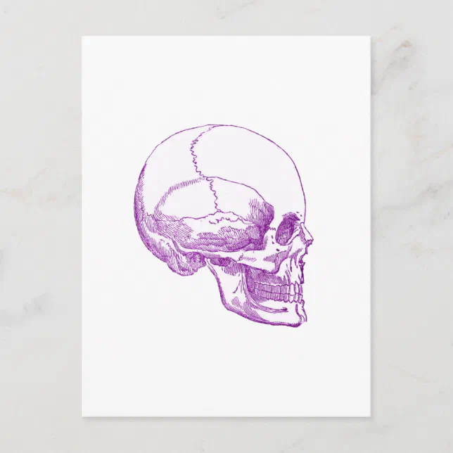 purple skull postcard | Zazzle
