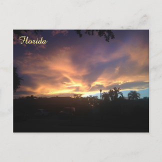 Purple Sky Sunset Postcard