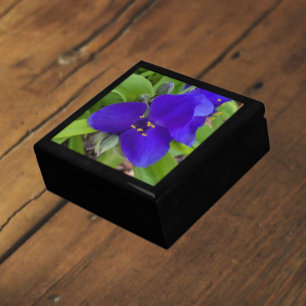 Purple Spiderwort Flower Floral Gift Box
