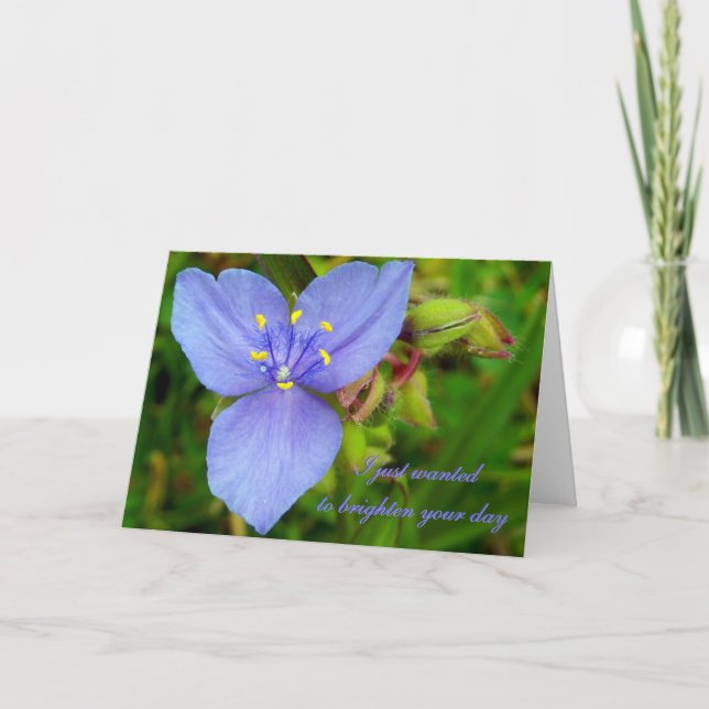 Purple Spiderwort Flower "Thinking of You" card (Front)