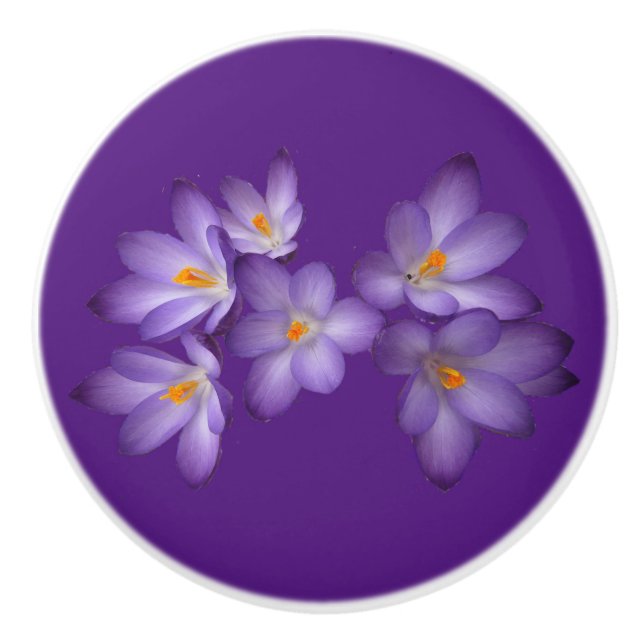 Purple Spring Crocus Flower Ceramic Knob (Front)