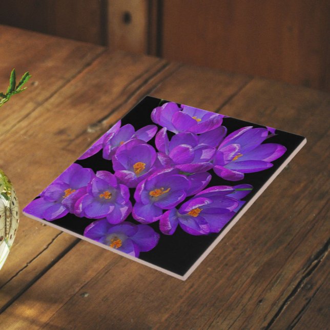 Purple Spring Crocuses Floral Ceramic Tile (In Situ)