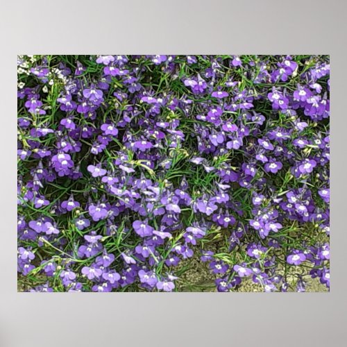 Purple Spring Flowers Poster