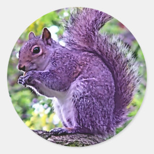 Purple Squirrel Classic Round Sticker