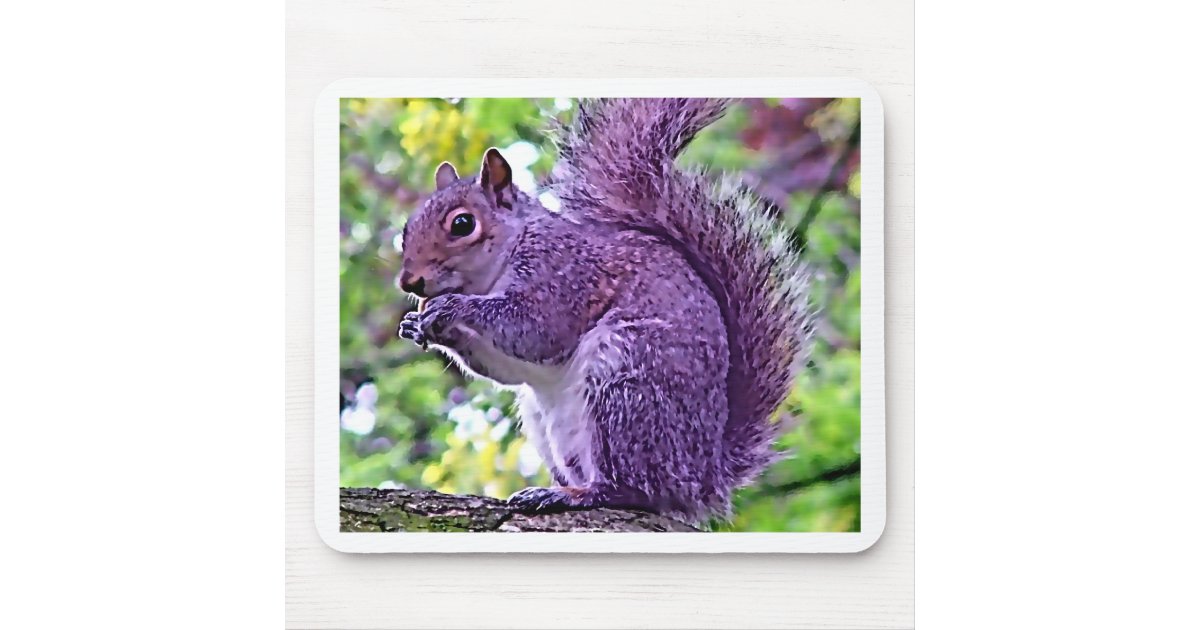 Purple Squirrel Mouse Pad | Zazzle