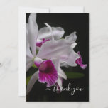 Purple-stained Laelia Orchids Thank You Card