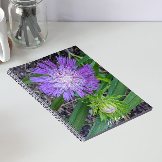 Purple Stoke's Aster Floral Notebook (In Situ)