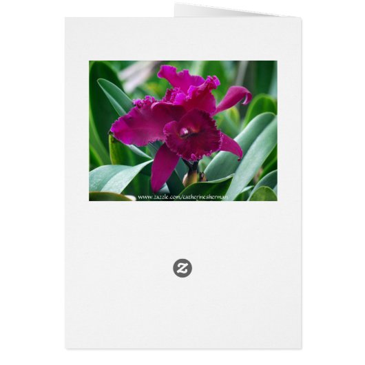 Purple Striped Phalaenopsis Orchid Card (Back)