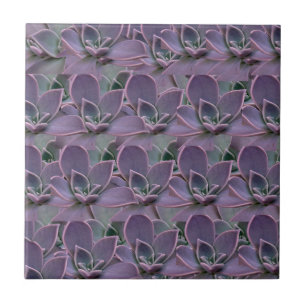Purple Succulent Ceramic Tile