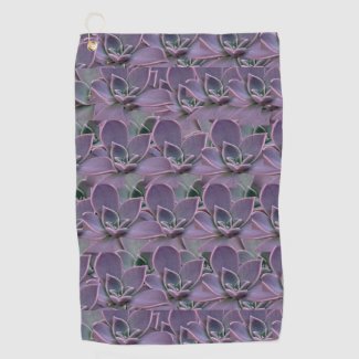 Purple Succulent 