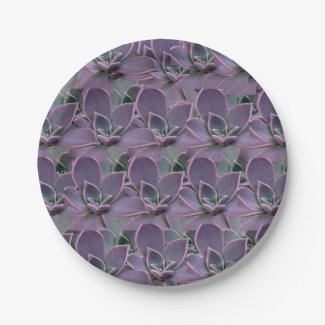 Purple Succulent Party