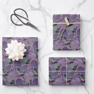 Purple Succulent Wrapping Paper Sheets