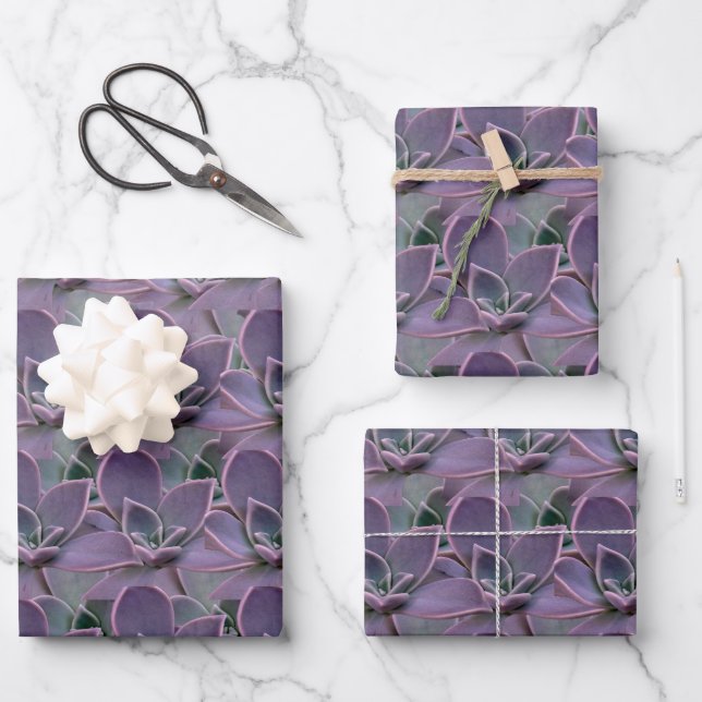 Purple Succulent Wrapping Paper Sheets (Front)