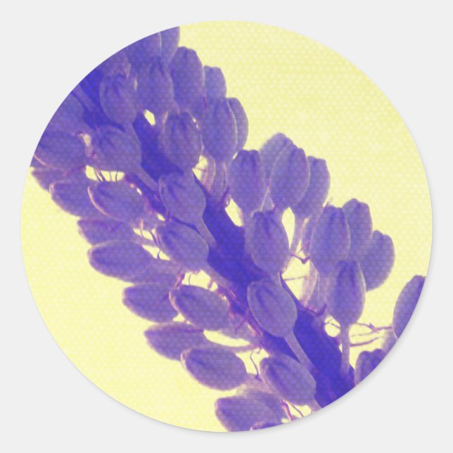 Purple Summer Flower Stickers (Front)