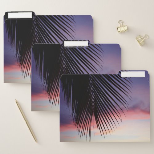 Purple Sunset Beach Tropical Palm Tree Silhouette File Folder