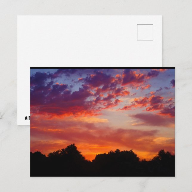 Purple Sunset Landscape Postcard (Front/Back)