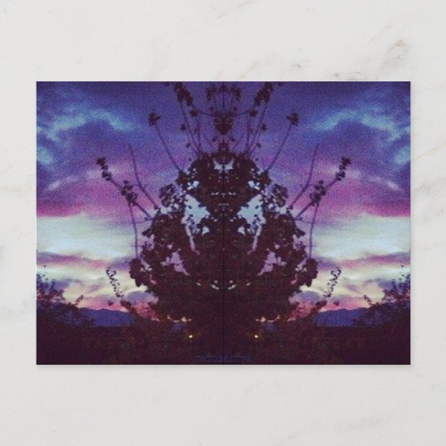 Purple Sunset Reflection Postcard (Front)