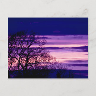 Purple Sunset Tree Silhouette art postcard