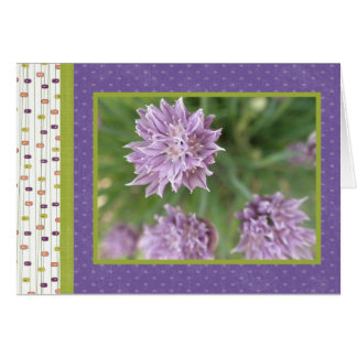 Purple Surprise Cards