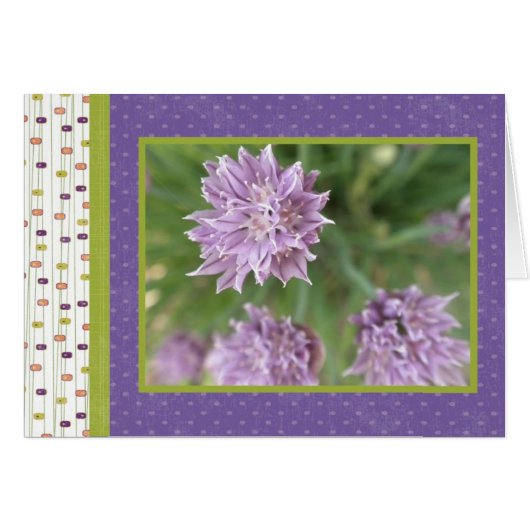 Purple Surprise Cards (Front Horizontal)