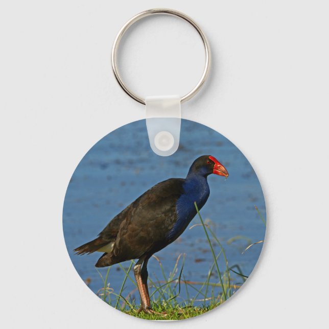 Purple Swamphen Keychain (Front)